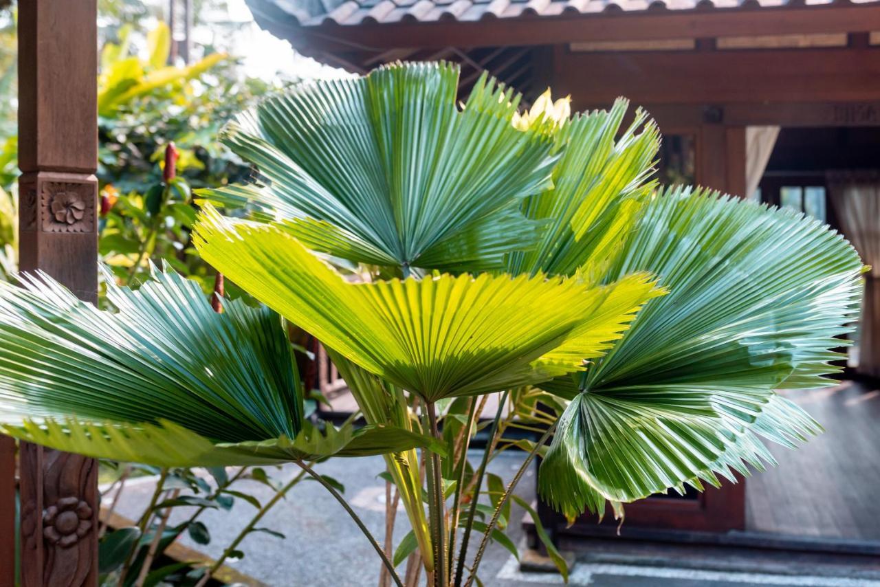 Villa Waturenggong Ubud Kültér fotó